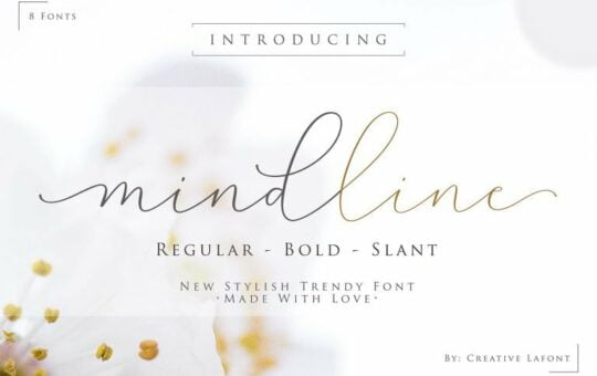 mindline-script-font-768x512-1.jpg