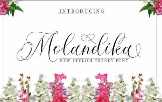 molandika-calligraphy-font.jpg