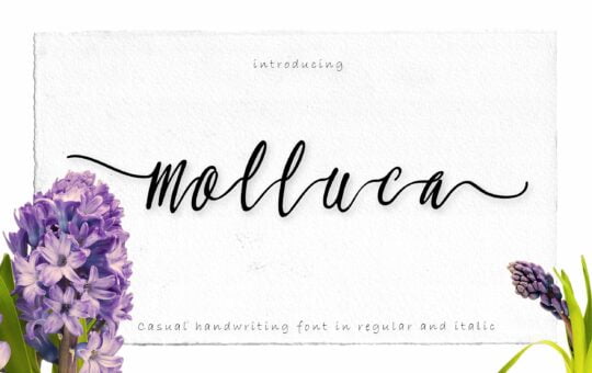 molluca-script-font.jpg