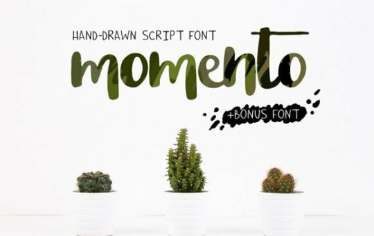 momento-script-font.jpg