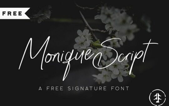 monique-script-font-1.jpg