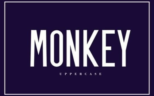 monkey-sans-font.jpg