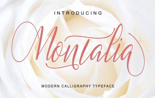 montalia-script-font.jpg