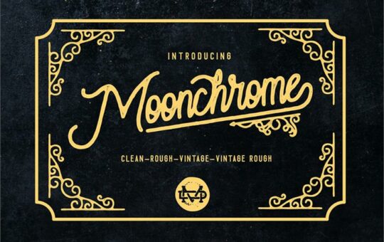 moonchrome-typeface.jpg