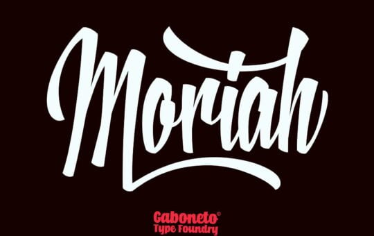 moriah-script-font-1.jpg