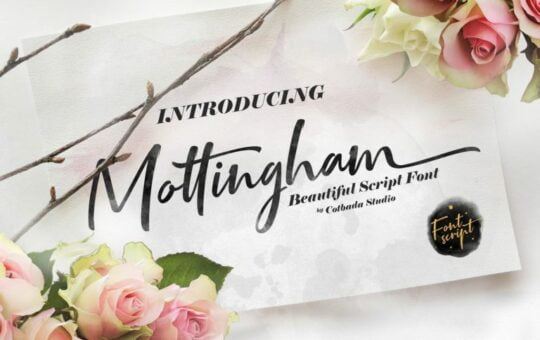 mottingham-script-font-4-768x512-1.jpg