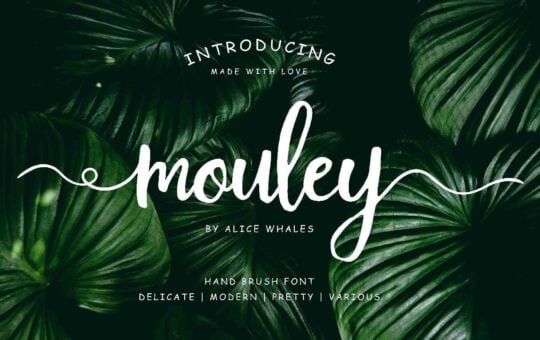 mouley-script-font.jpg