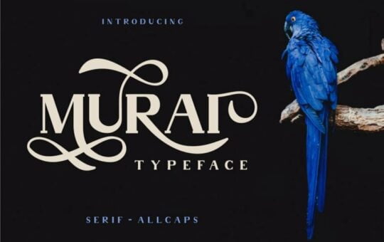 murai-typeface-768x512-1.jpg