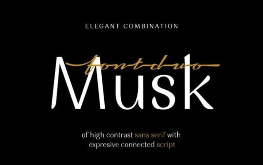 musk-sans-serif-typeface-768x512-1.jpg