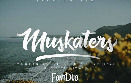 muskaters-script-font.jpg