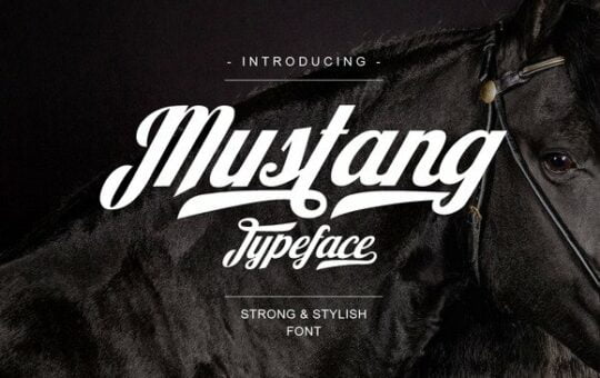 mustang-script-font.jpg