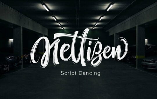 nettizen-script-font.jpg