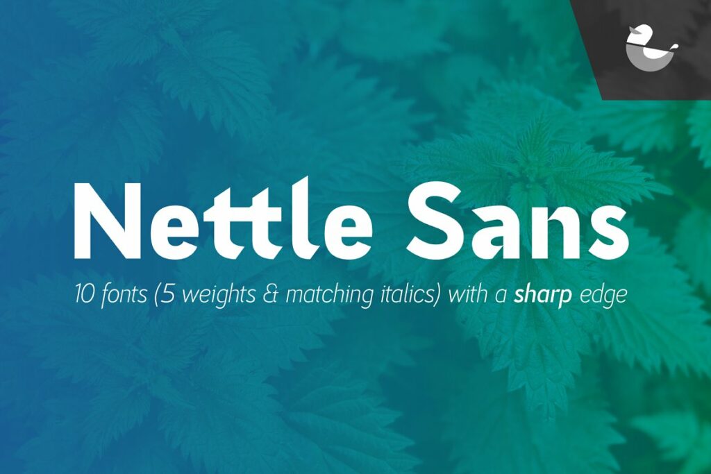 nettle-sans-01.jpg