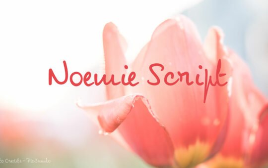 noemie-script-font.jpg