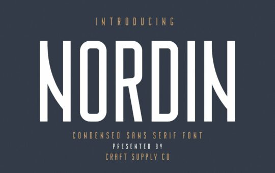 nordin-sans-serif-font.jpg