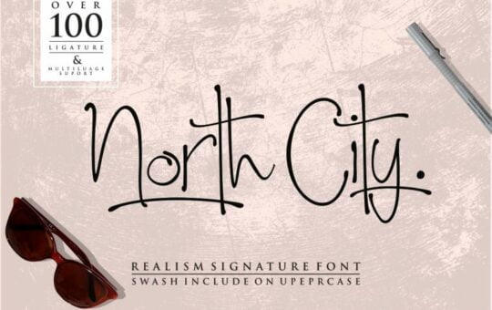 north-city-script-font-768x512-1.jpg