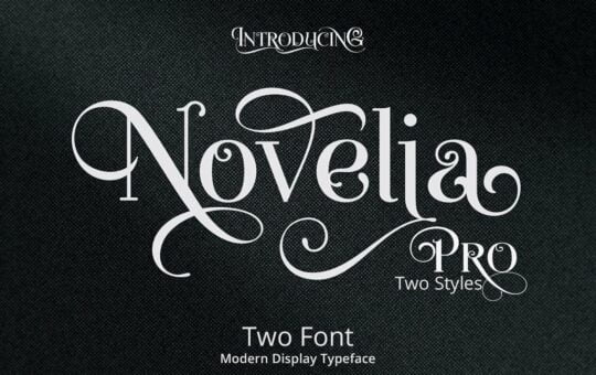 novelia-pro-typeface.jpg