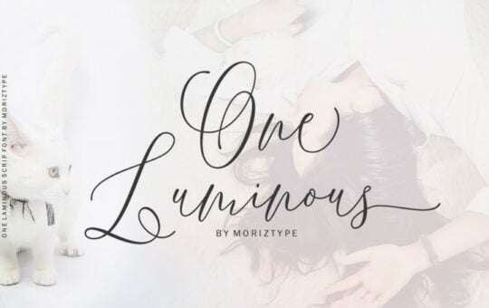 one-luminous-script-font.jpg