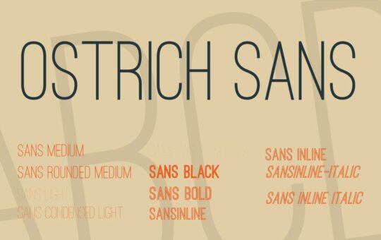 ostrich-sans-font-1.jpg