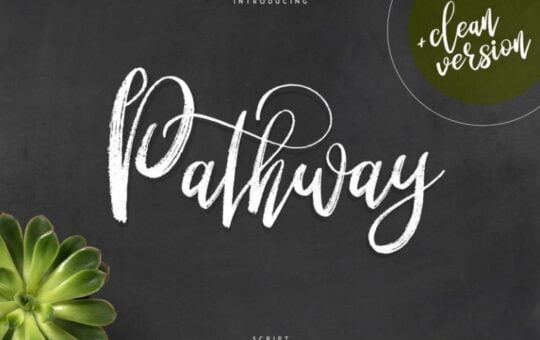 pathway-script-font-768x512-1.jpg