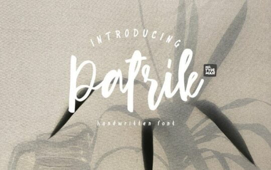 patrik-script-font-1.jpg
