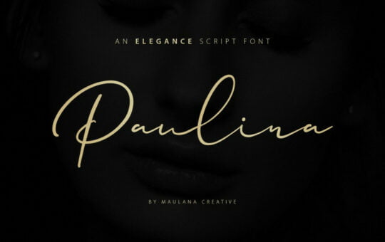 paulina-elegance-script-font-1.jpg