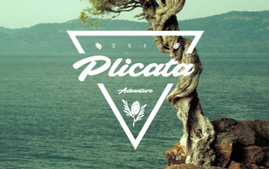 plicata_poster01.png