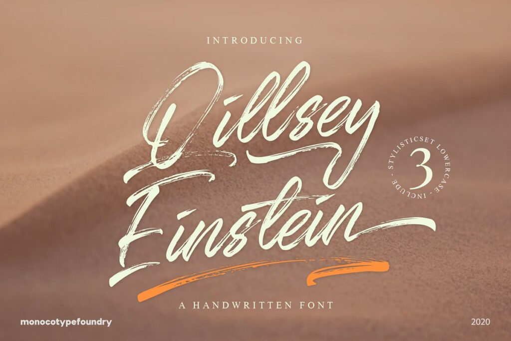 qillsey-einstein_cm1-.jpg