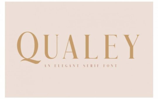 qualey-elegant-serif-font-768x512-1.jpg