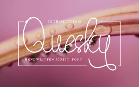quesky-font-1.jpg