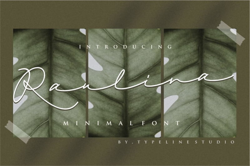 raulina-signature-font-1.jpg