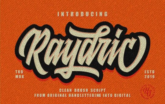 raydric-script-font-1.jpg