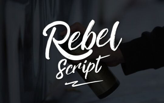 rebel-script-marker-font.jpg