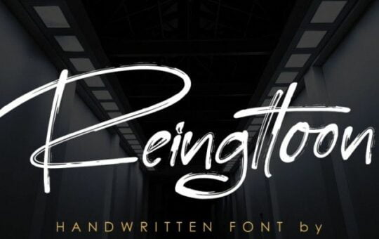 reingttoon-font-1.jpg