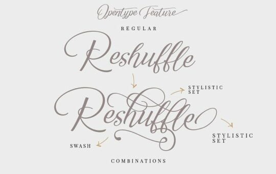 reshuffle-script-font-1.jpg