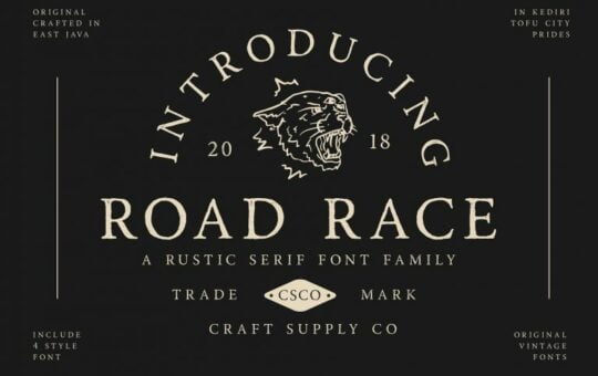 road-race-typeface-768x512-1.jpg