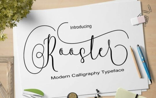 rooster-script-font-768x512-1.jpg