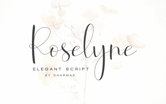 roselyne-script-font.jpg