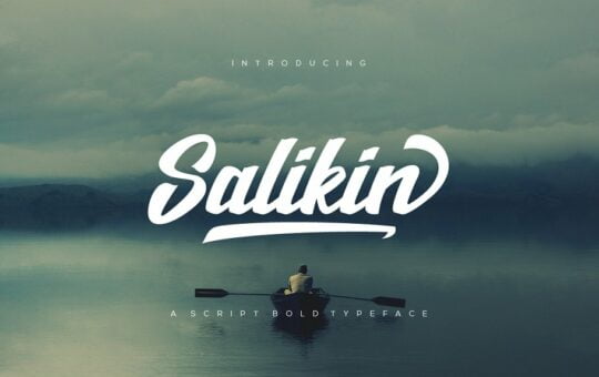 salikin-bold-script-font.jpg