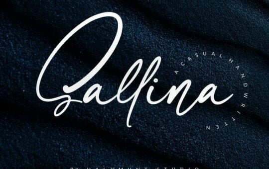 sallina-script-font.jpg