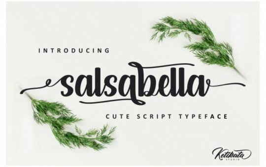salsabella-cute-script-font.jpg