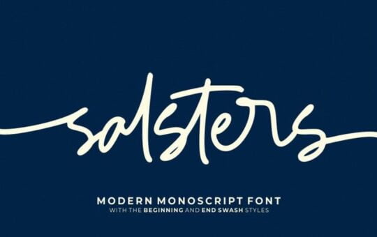 salsters-font.jpg