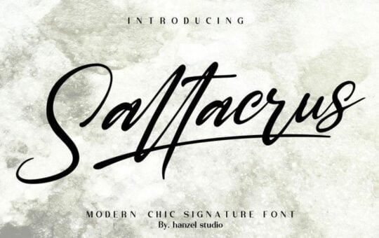 saltacrus-script-font.jpg