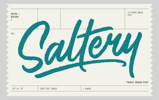 saltery-brush-font.jpg