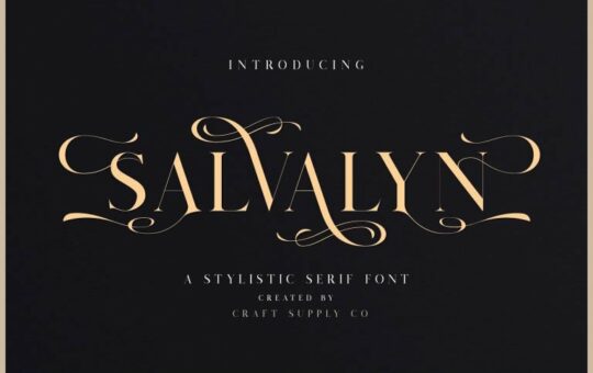 salvalyn-serif-font-768x512.jpg