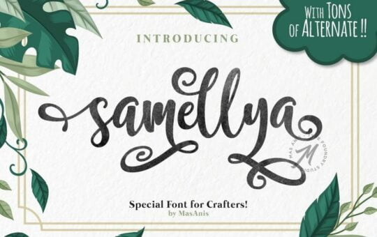 samellya-script-font-768x512-1.jpg