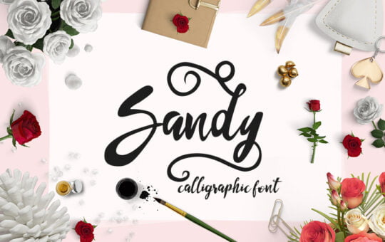 sandy-cover.jpg