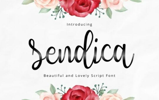 sendica-font.jpg