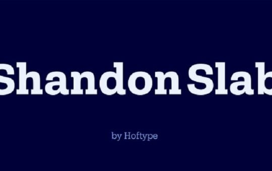 shandon-slab-font-family.jpg