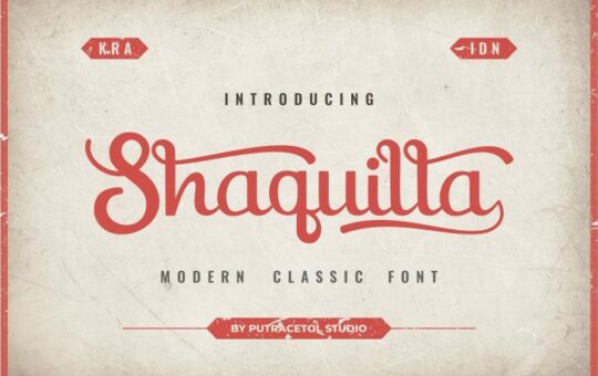 shaquilla-script-font-5-766x512-1.jpg